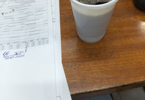 Eu vou Faço transcrições para você