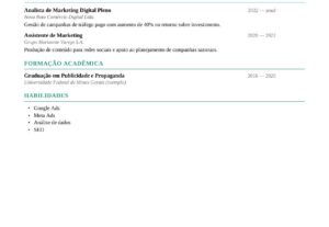 Eu vou formatar e organizar seu currículo profissional