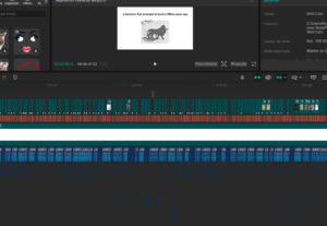 Eu vou editar seu video do youtube. Diga o nicho