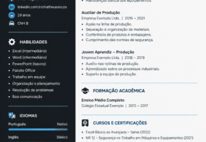 Eu vou Vou criar ou reformular seu currículo profissional