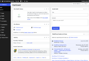 Eu vou inserir, formatar e organizar seus posts no WordPress