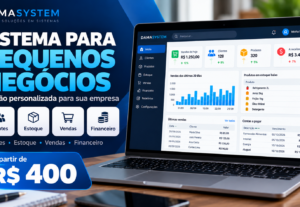 Eu vou criar um sistema de gestão para seu pequeno negócio