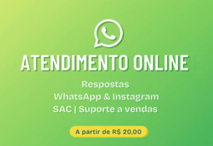 Eu vou Responder seus clientes on-line por 1 dia