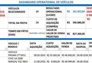 Eu vou organizar sua planilha de excel