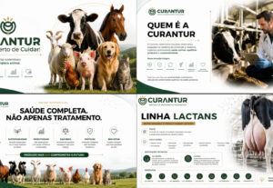 Eu vou Vou criar uma apresentação profissional para você